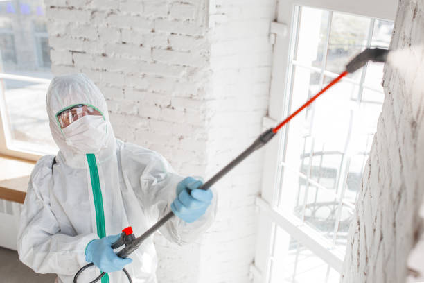 Best Residential Mold Inspection & Testing  in Freeman, SD
