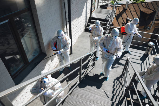Best Industrial Mold Remediation  in Freeman, SD