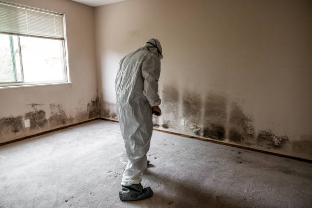 Best Air Quality Testing for Mold Spores  in Freeman, SD